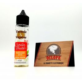 elfbar nachfüll pod läuft aus Fraîcheur d'été Terroir et Vapeur Melon / Menthe 50ml